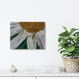 A fly in the flowers (50x40cm)